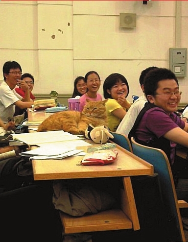 “北大学术猫”屡屡蹭课,已经成课堂一景。读者供图
